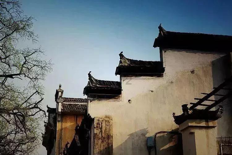 盗金父子俩自制版